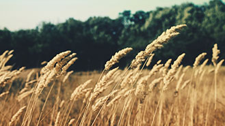 攻击网站在线工具