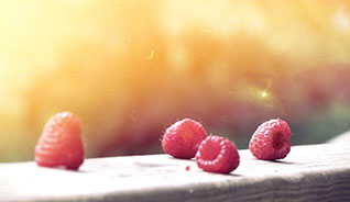 卡密商城直营的DDOS在线攻击平台